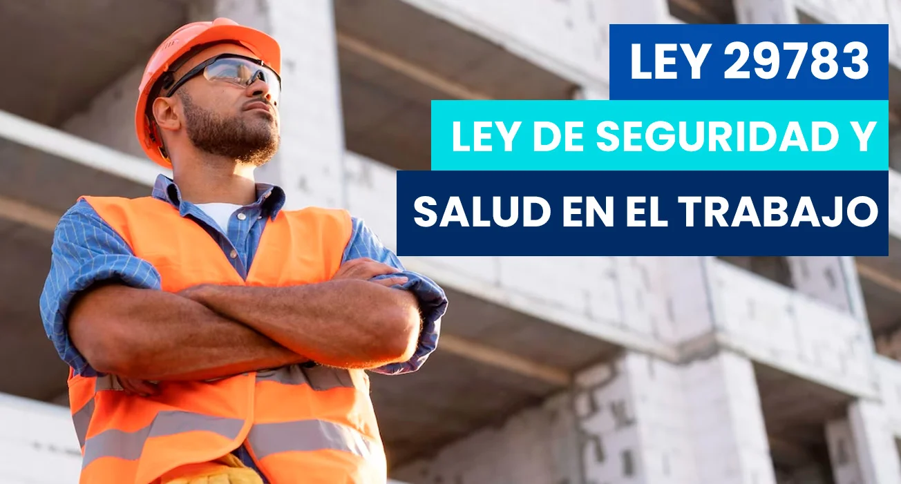 ley-29783-de seguridad